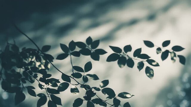 Gently silhouetted tree branches and dark leaves backlit by soft daylight, forming a tranquil, abstract foliage pattern with blurred bokeh highlights and calm natural mood