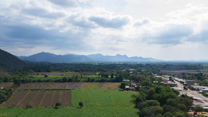 Aerial drone panoramic natural landscapes of Lambayeque, Peru, featuring forests, agricultural fields, and rural scenery near main cities and villages, ideal for tourism, marketing and graphic design
