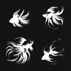Obraz premium Set of Four Stylized White Ornamental Fish Illustrations with Flowing Fins on Black Background