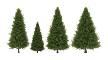Obraz premium Three pine trees isolated on transparent background