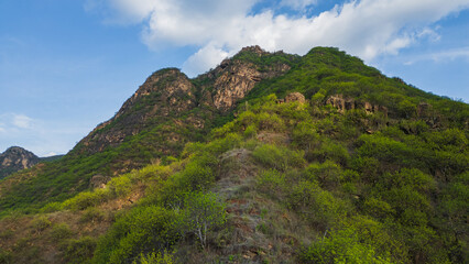 Obraz premium Aerial drone panoramic natural landscapes of Lambayeque, Peru, featuring forests, agricultural fields, and rural scenery near main cities and villages, ideal for tourism, marketing and graphic design
