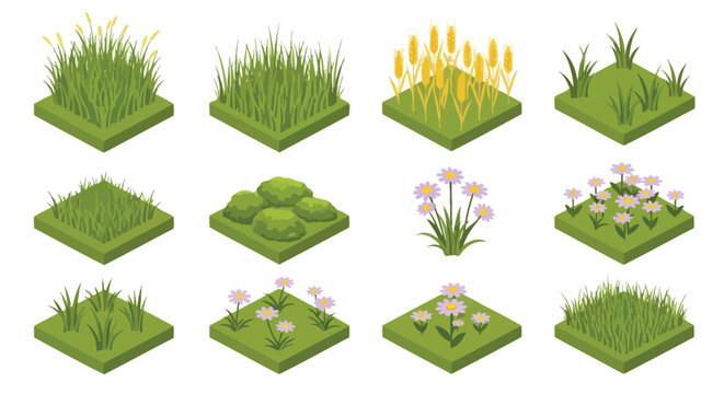 Isometric grass patches and flowering plants on cubic platforms
