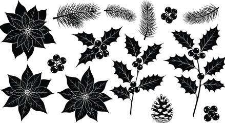 Black silhouette of Christmas botanical elements, winter holly berries, poinsettia flowers, pine branches and cones isolated on white background for holiday greeting card design © Sahanaj