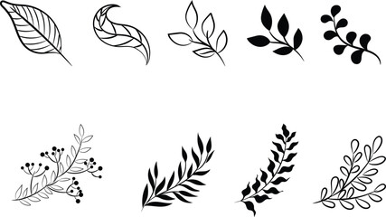 Fototapeta premium Hand drawn cute doodles flower, leaf black on white background