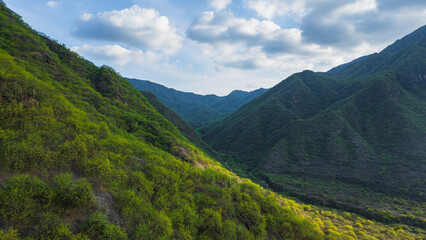 Fototapeta premium Aerial drone panoramic natural landscapes of Lambayeque, Peru, featuring forests, agricultural fields, and rural scenery near main cities and villages, ideal for tourism, marketing and graphic design