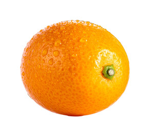 A vibrant orange citrus fruit glistens with water droplets, isolated on black