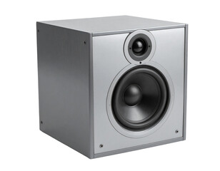 Obraz premium Sleek silver speaker cabinet with prominent woofer and tweeter