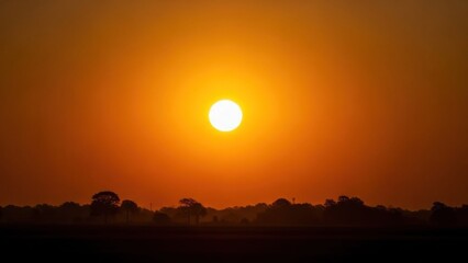A vibrant orange sunset with a silhouette of a tree in the foreground and a field of trees in the background.