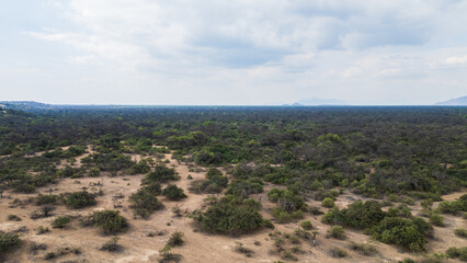 Aerial drone panoramic landscape near the Bosque de P&oacute;mac in Lambayeque, Peru, featuring natural scenery, forests, and agricultural fields close to rural towns and cities.