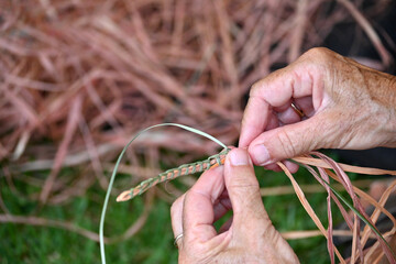 Indigenous Australians female hands weaving artwork