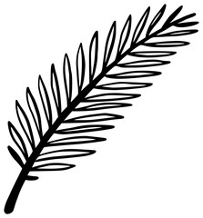 Obraz premium Hand-Drawn Palm Leaf Branch Tropical Islamic Ornament Illustration