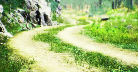 A winding dirt path leads through a lush green landscape, flanked by vibrant grass and rocky formations. Sunlight filters through the trees, creating a peaceful atmosphere.