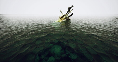Dark driftwood emerging from deep water, foreground ripples exposing submerged rocks and seafloor, green black tones, stormy cinematic mood, sense of unknown © icetray