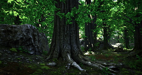 Fototapeta premium massive tree trunk with exposed roots and cracked bark, close textures reveal age and resilience, evocative subject for heritage forestry, sustainable timber