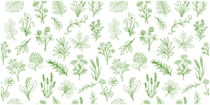 線画ボタニカル植物のシームレス背景パターン（グリーン） / Botanical Line Art Seamless Pattern
