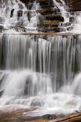 waterfall in the forest