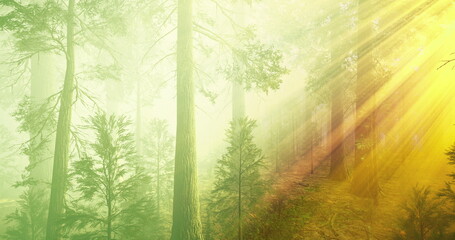 Obraz premium sunbeams streaming through tall trees soft misty undergrowth and golden light creating serene forest scene ideal for wellness retreat or mindful nature copy