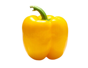 Vibrant yellow bell pepper with a green stem, isolated on black