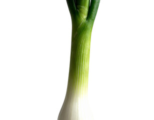 Fresh green onion with white bulb, isolated on black