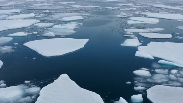 Arctic glacial ice floes drift serenely in deep blue ocean water, a cinematic motion capturing the raw beauty of nature's frozen wonders and the vastness of the polar region