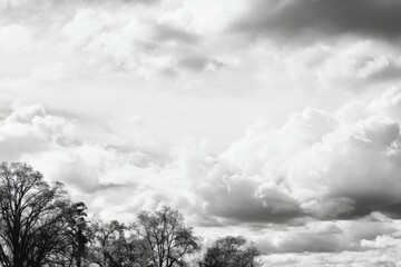 Dramatic sky with heavy clouds above silhouetted trees in a field