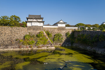 Historic stone walls topped with white castle turrets overlook a wide moat filled with green algae in Osaka, Japan. Bright sunlight and clear blue sky highlight the textured masonry and lush © Florent
