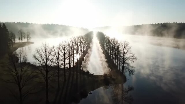 Sweeping drone shot moving gently across a vast, misty lake, highlighting the stark symmetry of leafless trees lining the ethereal, fog-laden shoreline vast, minimalism, sweeping