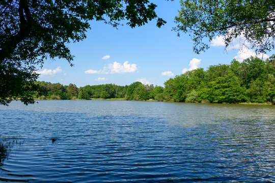 Clear blue water stretches across the pond, bordered by dense green woodland and framed by leafy branches under a bright sky at Etang du Gue l'Eveque near Dampierre en Burly. Gentle ripples and