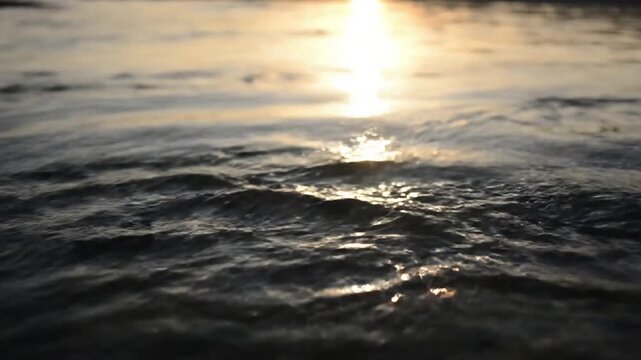 Tranquil Nature Elements Serene, peaceful, environmental beauty