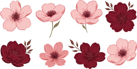 Obraz premium Eight pink and red flowers on white background for decoration and design