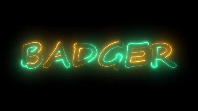 flickering neon badger text animation. neon sign that flickers and glows with BADGER