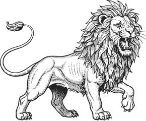 Naklejka premium Roaring lion with detailed mane and muscular body in black and white illustration