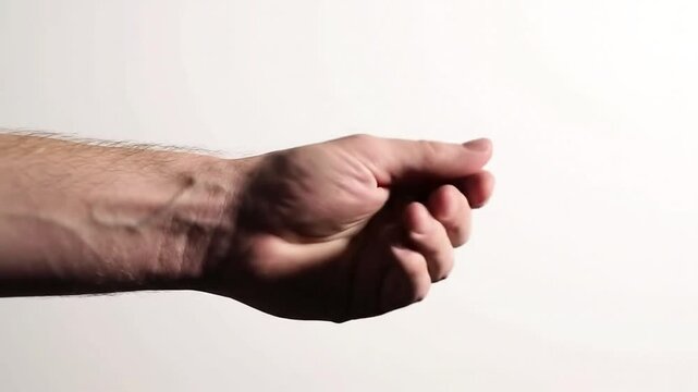 Hand Gestures and Positions on White Background.