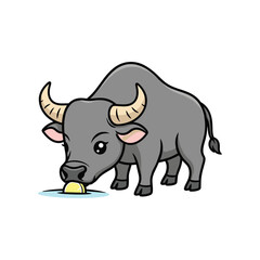 Obraz premium Gray bull with large horns drinking water from a puddle