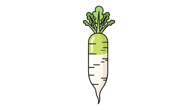 Vibrant daikon radish illustration, a healthy and fresh vegetable graphic element.
