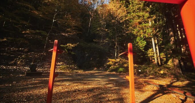 Smooth steady cam through beautiful torii gate in Japanese hills