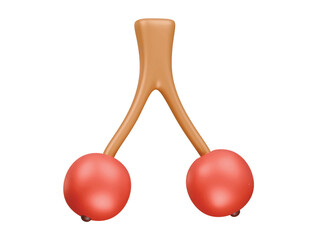 guelder rose icon 3d illustration render