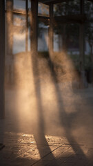 Sunlight filters through a window, casting shadows on the floor.