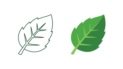 Simple vector graphic illustrating two different styles of a vibrant green mint leaf icon one outlined and one filled for design comparison
