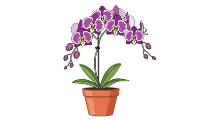 Vibrant purple orchid illustration in a terracotta pot, showcasing exquisite blooms and fresh green foliage