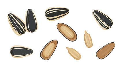 An illustration depicting sunflower seeds in various forms, including striped shells and golden kernels, scattered for organic and healthy food