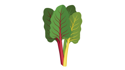 Vibrant fresh swiss chard illustration showcasing nutritious green leaves and colorful red and yellow stems. A healthy vegetable graphic perfect for