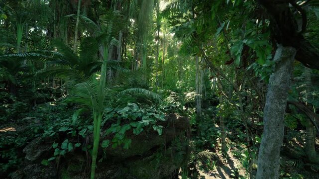 narrow jungle trail cutting through dense foliage, exposed roots and rugged soil, picture of expeditionary navigation and outdoor challenge
