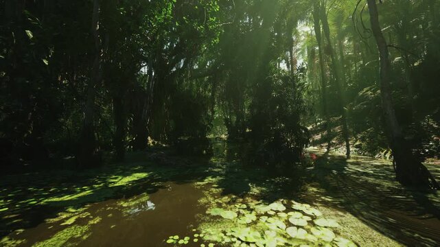 shaded marsh with silhouetted roots, dense reed beds and still pools, conservation research vibe with monitoring equipment potential, quiet observation of birds