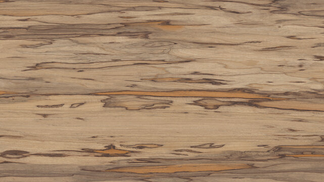Natural chocolate marble texture for skin tile wallpaper luxurious background, Spalted beech creative wood ceramic art wall interiors backdrop design, Picture high resolution.