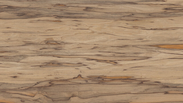 Natural chocolate marble texture for skin tile wallpaper luxurious background, Spalted beech creative wood ceramic art wall interiors backdrop design, Picture high resolution.