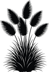 Obraz premium Stylized black silhouette of grass plant with feathery flower heads and spiky leaves for botanical, decorative, and vector design use