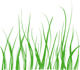 Fototapeta premium Green Grass Blades Monochromatic Style abstract