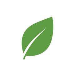 A single green leaf illustration viewed from the front against a clean environment