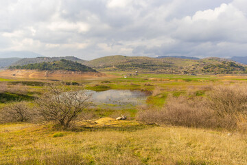 Remaining shallow water in dried reservoir surrounded by grass and hills. Climate change and freshwater shortage concept in Turkey.
